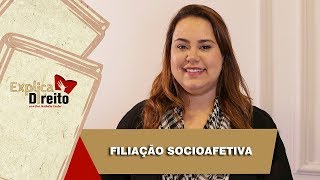 Explica Direito Filiação Socioafetiva  2019 [upl. by Aikemaj]