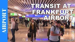 TRANSIT WALK AT FRANKFURT Airport FRA Terminal 1  Connection Flight Transfer Arriving amp Departing [upl. by Irik]